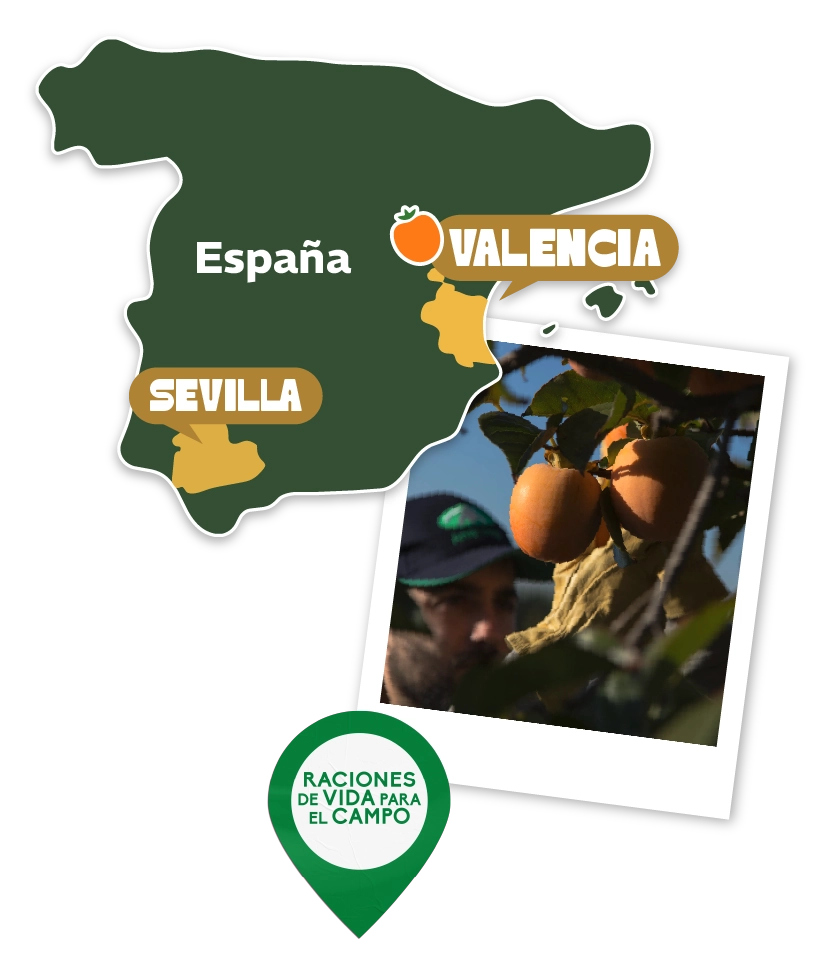 Mapa origen Kaki